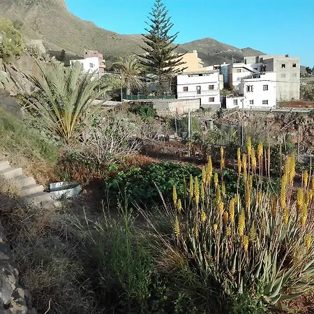 Patio Canario Apartamento Arona (Tenerife)