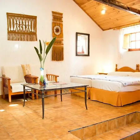 公寓 Patio Canario