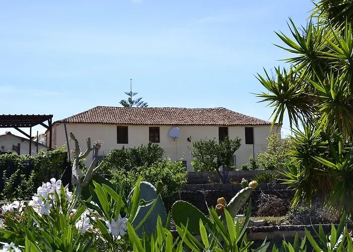 Patio Canario Lejlighed