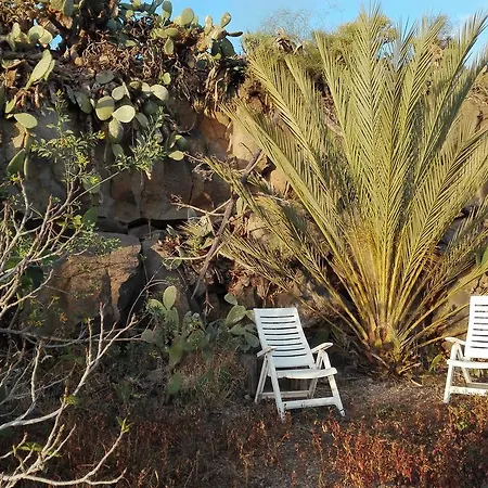 Patio Canario