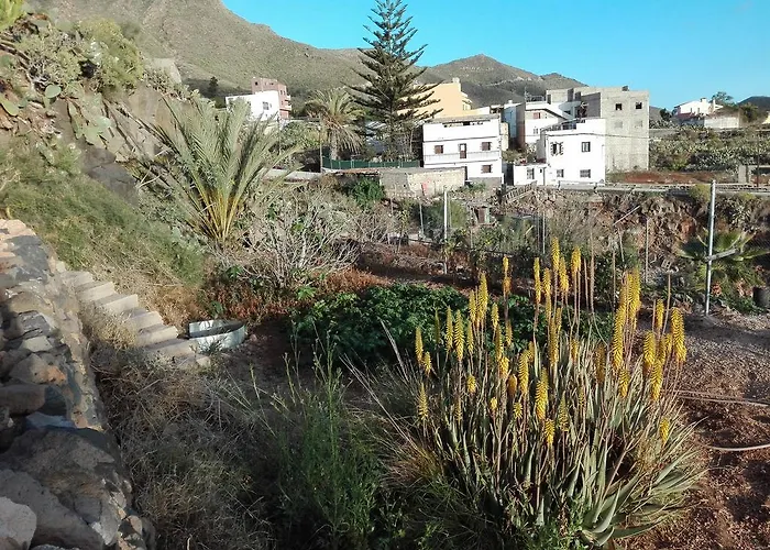 Patio Canario Lägenhet Arona (Tenerife)