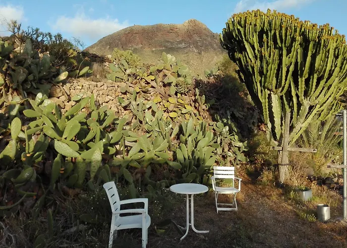 Patio Canario * Arona (Tenerife)