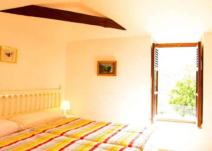 Patio Canario